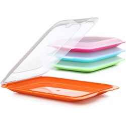 Tatay Cold Cuts Container , Assorted colors - ( green, blue, pink and orange.)