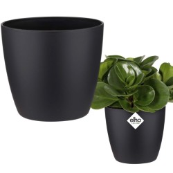 Elho Brussels Round Indoor Flowerpot - Living Black ,16cm