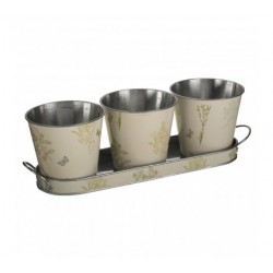 Premier Jardin Set Of 3 Pots On Oblong Tray