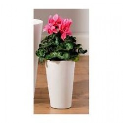 Premier Small White Tall Tapered Cylindrical Flower Vase